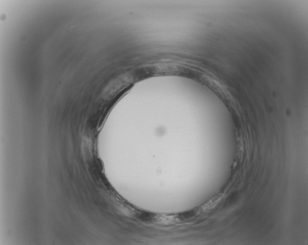 X0000064750333200602171739