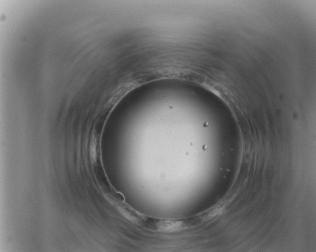 X0000064750334200602171739