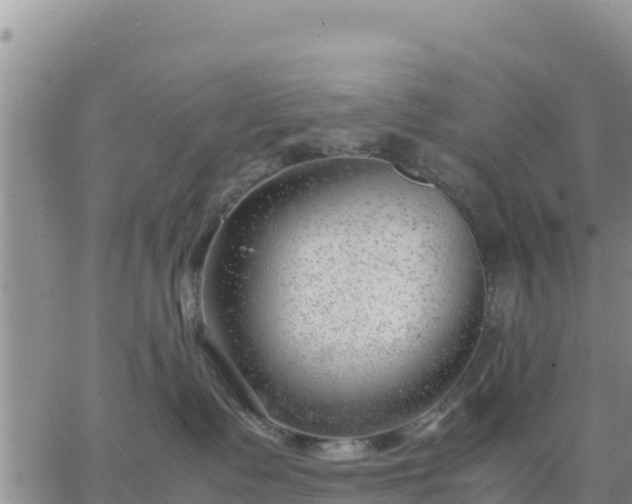 X0000064750335200602171739