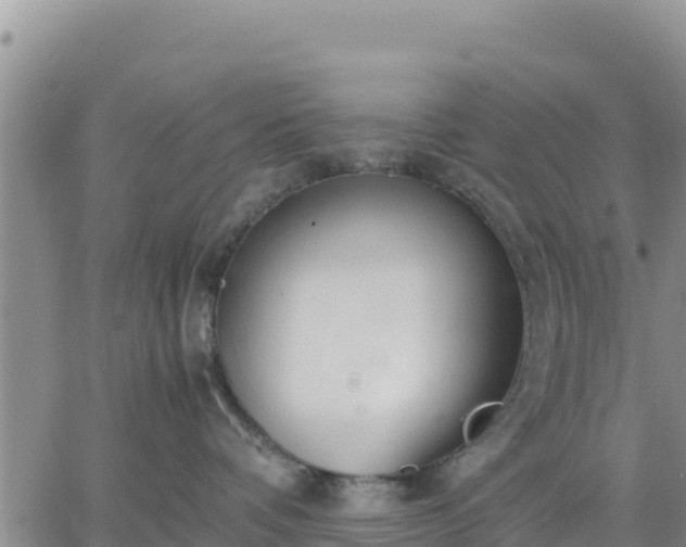 X0000064750336200602171739