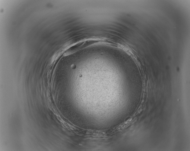 X0000064750337200602171738