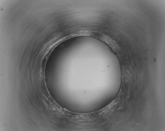 X0000064750338200602171738