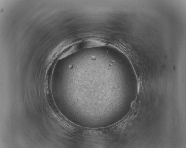 X0000064750339200602171738