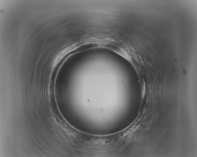 X0000064750340200602171739