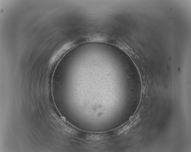 X0000064750341200602171739