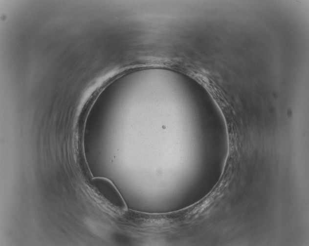 X0000064750342200602171739