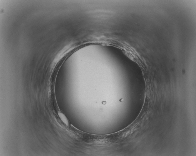 X0000064750344200602171739