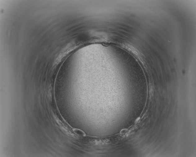 X0000064750345200602171739