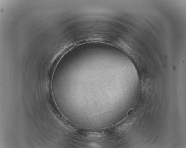 X0000064750347200602171739