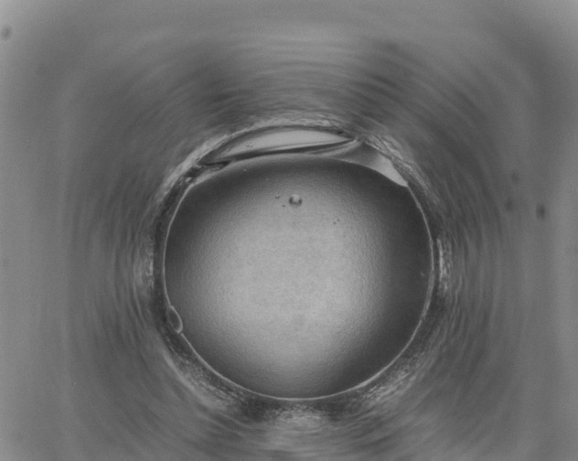 X0000064750348200602171739