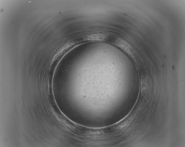 X0000064750349200602171739