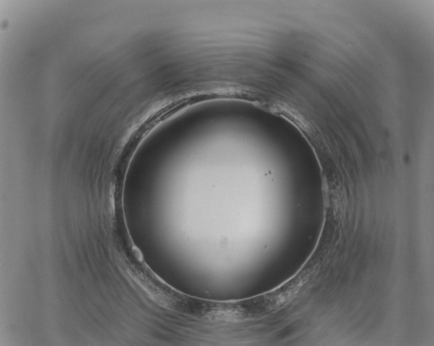 X0000064750350200602171739