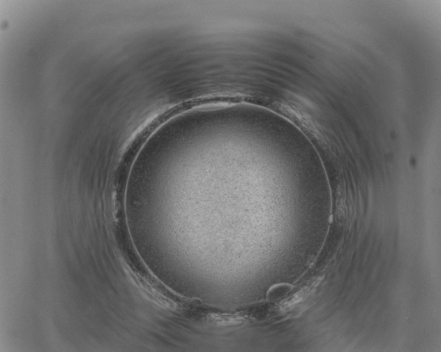 X0000064750351200602171739