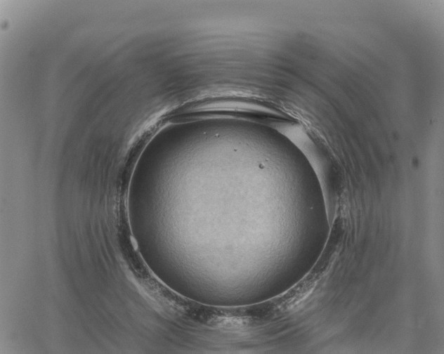 X0000064750352200602171739