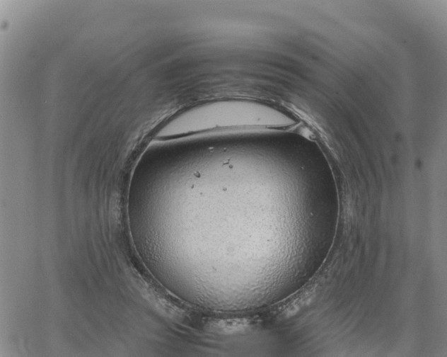 X0000064750353200602171739