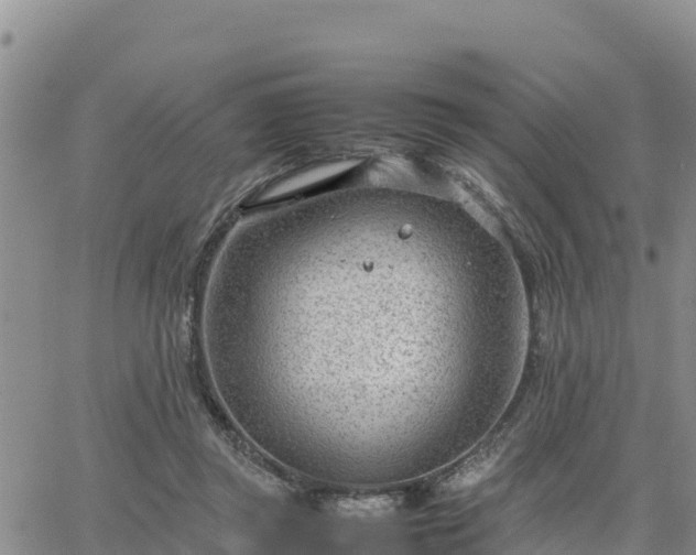 X0000064750357200602171739