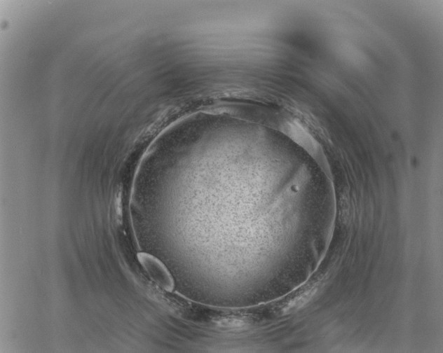 X0000064750358200602171739