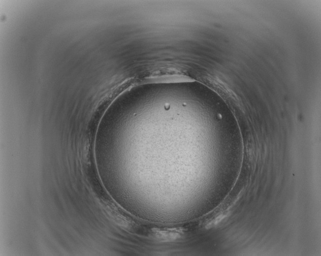 X0000064750359200602171739