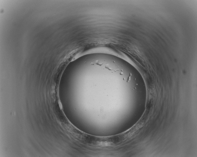 X0000064750360200602171739