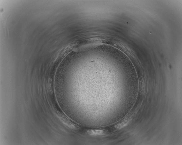 X0000064750361200602171739