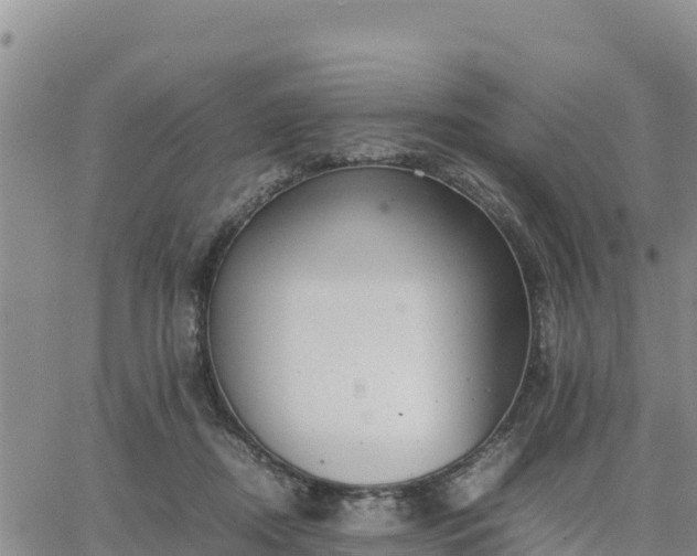 X0000064750362200602171739