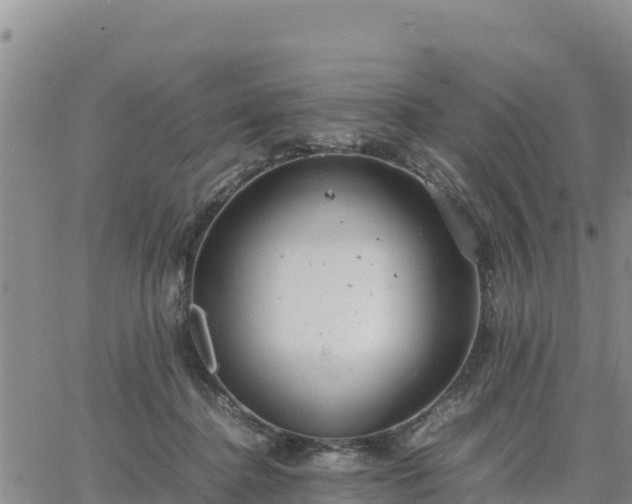 X0000064750364200602171739