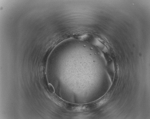 X0000064750366200602171739