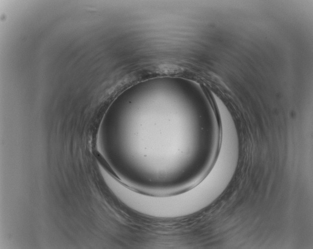 X0000064750368200602171739