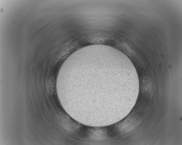 X0000064750370200602171739