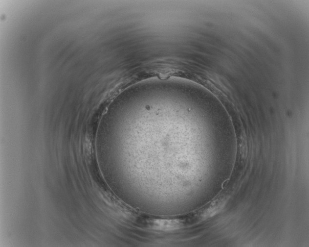 X0000064750371200602171739