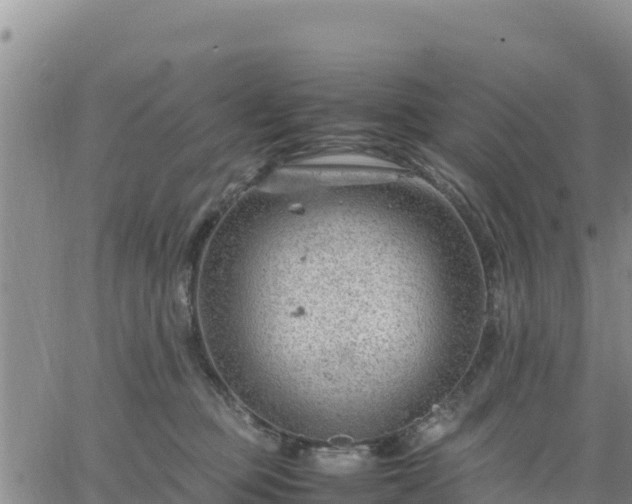 X0000064750373200602171739