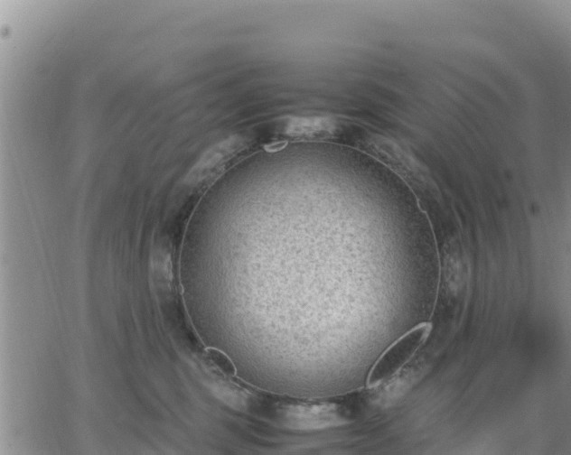 X0000064750375200602171739