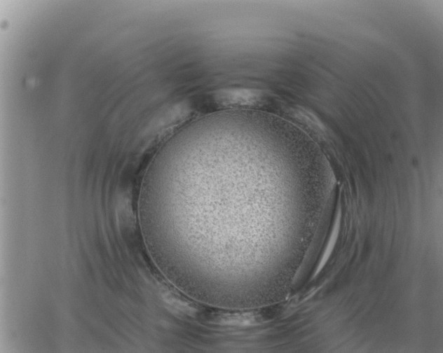 X0000064750377200602171739