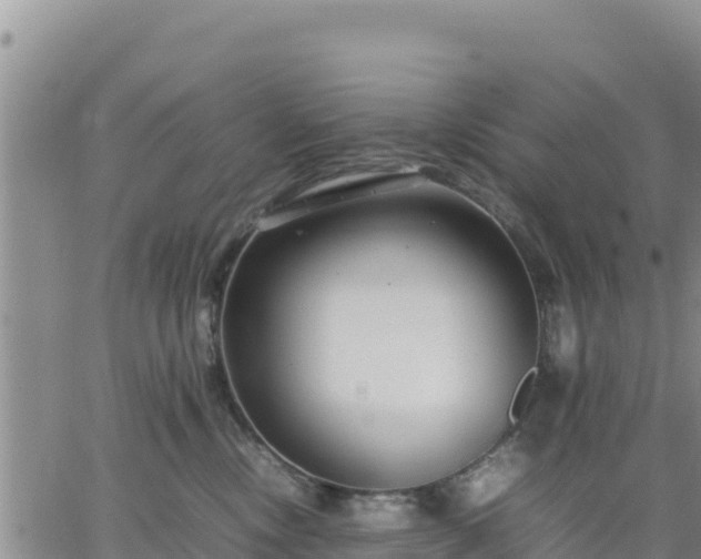 X0000064750378200602171739