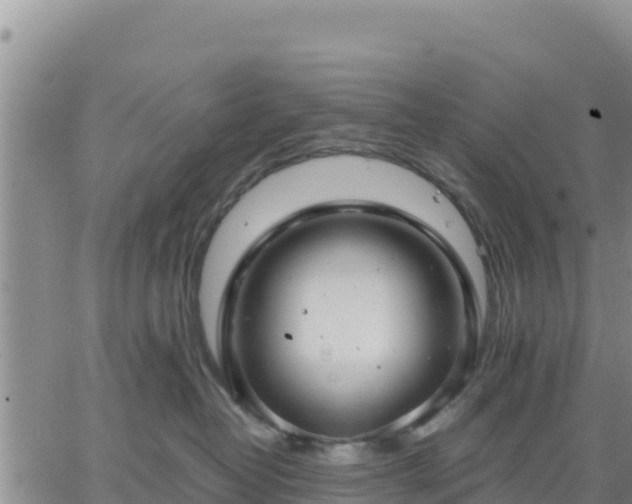 X0000064750382200602171739