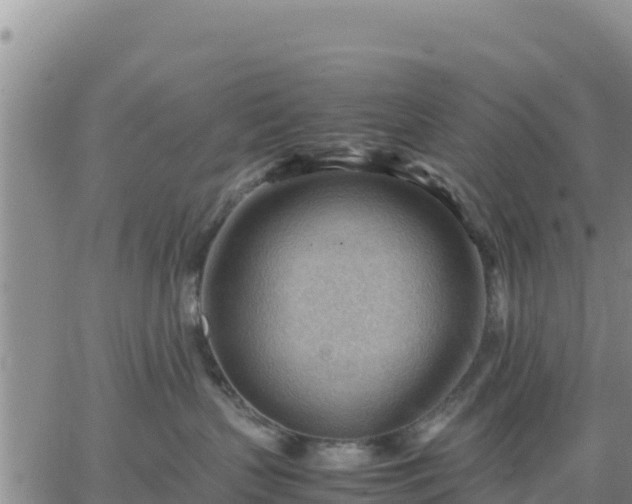 X0000064750383200602171739