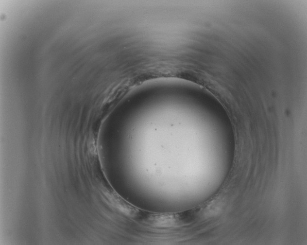 X0000064750384200602171739