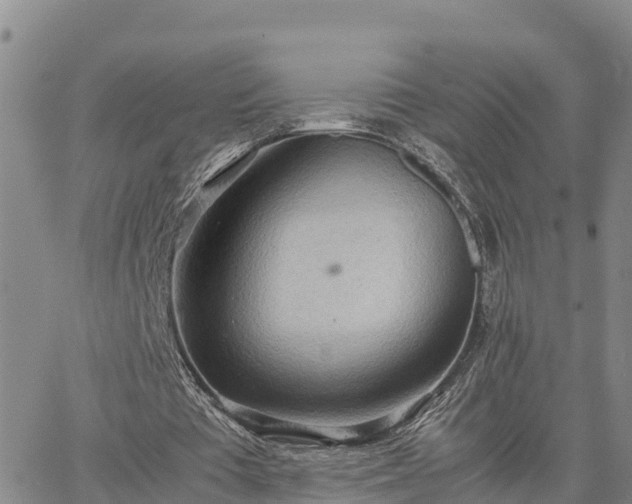 X0000064750385200602171738