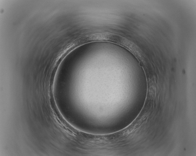 X0000064750386200602171738