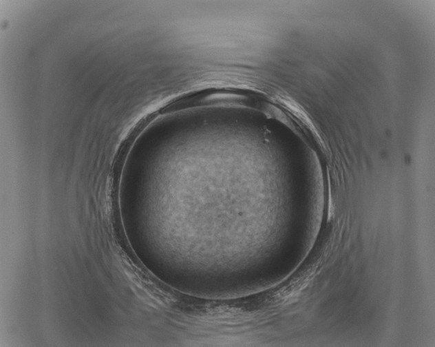 X0000064750387200602171738