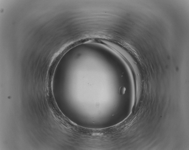 X0000064750388200602171738