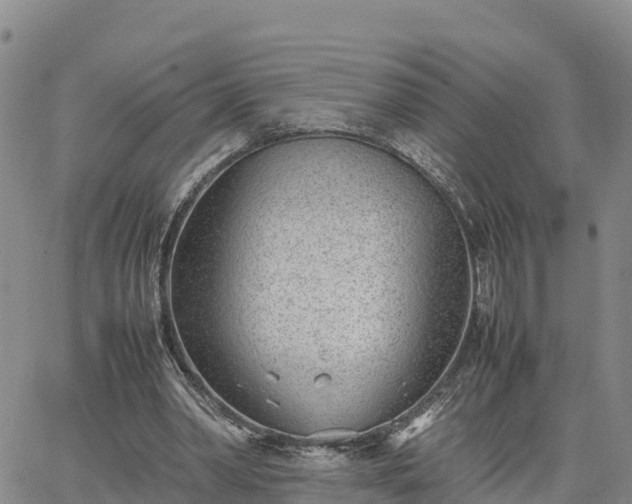 X0000064750390200602171738