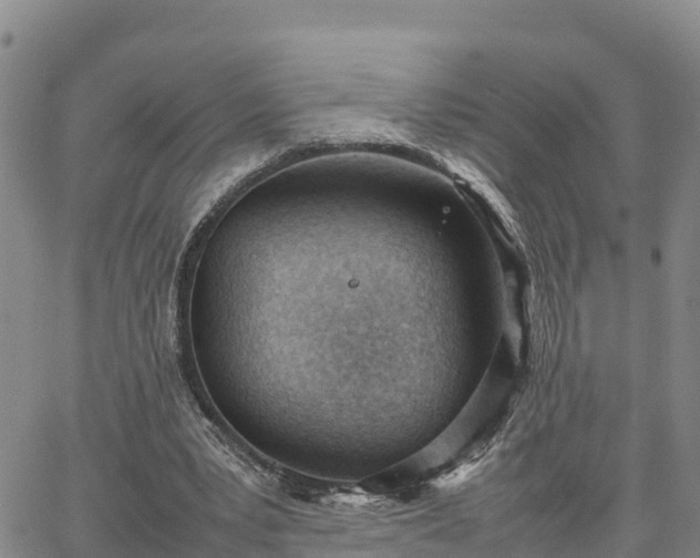 X0000064750391200602171738