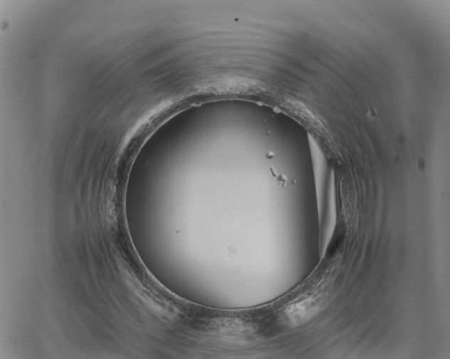 X0000064750392200602171738