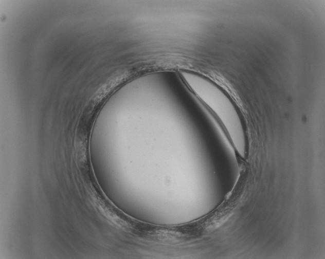 X0000064750393200602171738