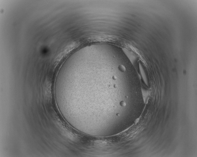 X0000064750394200602171738