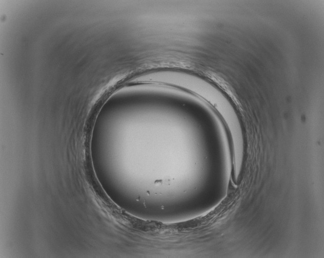 X0000064750395200602171738