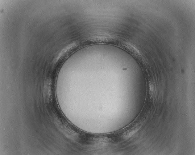 X0000064750396200602171738