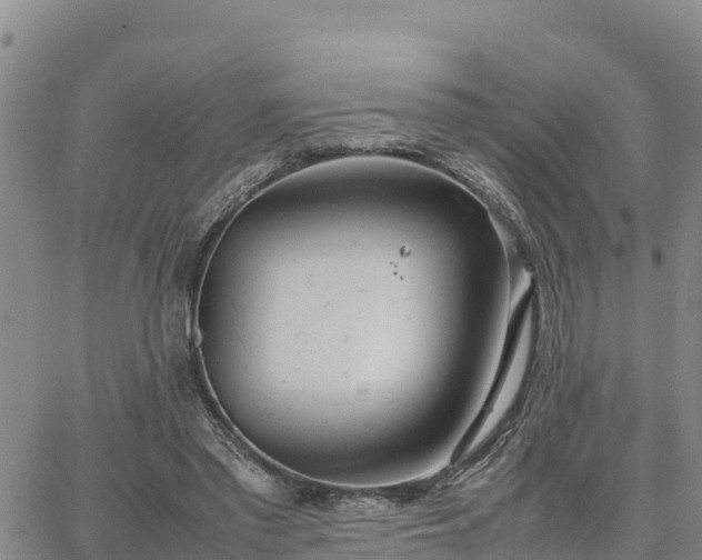 X0000064750397200602171738