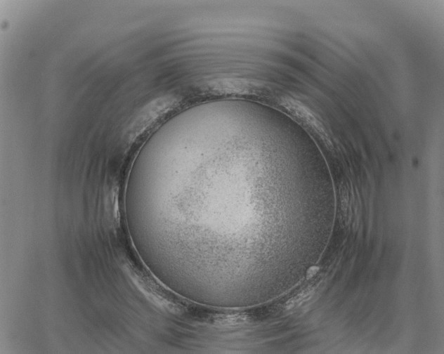 X0000064750398200602171738